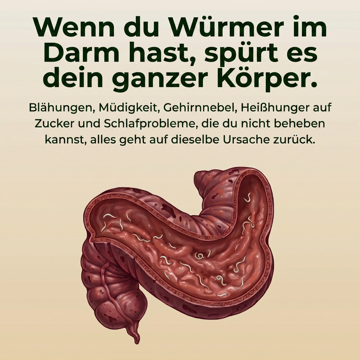 Vitalogen Bio-Rizinusöl