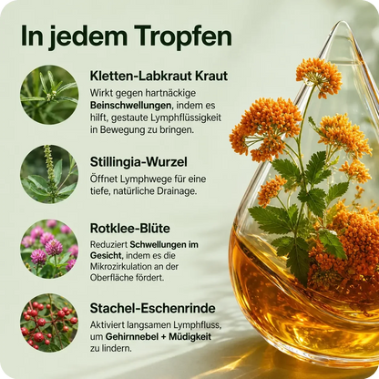 Lymphura Lymph Balance Tropfen – Pflanzlicher Kräuterkomplex (60 ml)