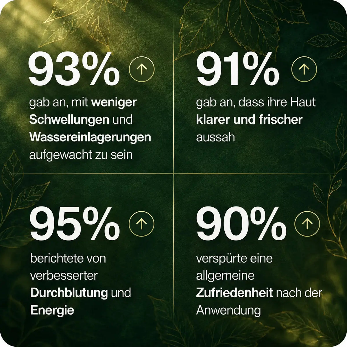 Lymphura Lymph Balance Tropfen – Pflanzlicher Kräuterkomplex (60 ml)